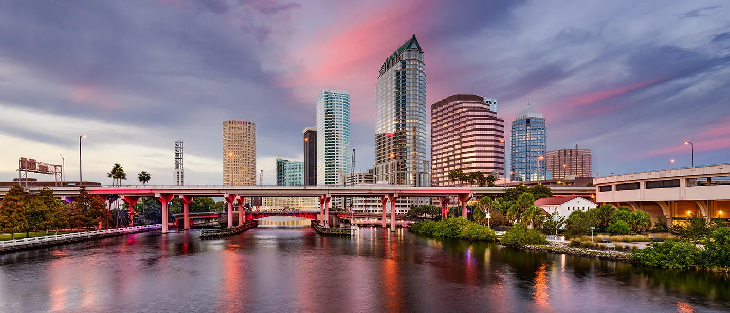 Schiller International university